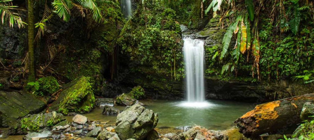 El Yunque National Park